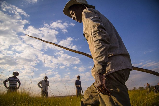 Expedition ins Okavangodelta - Filmfotos