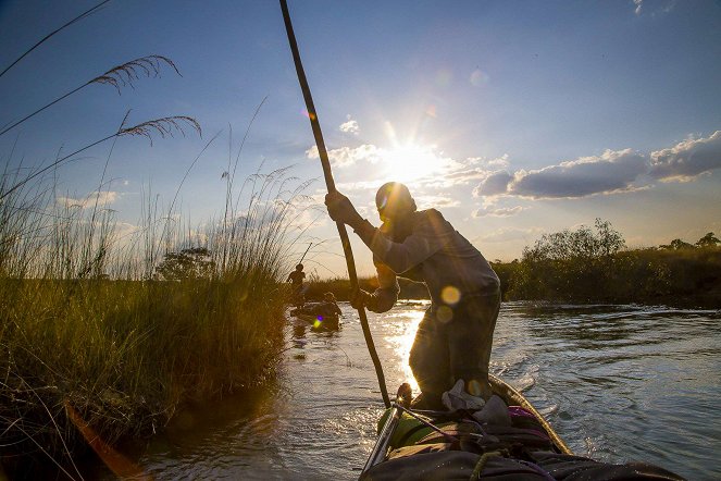 Into the Okavango - De filmes