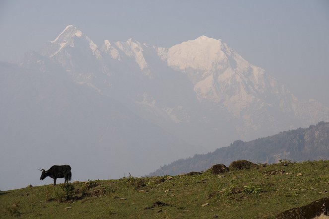 Na cestě - Série 21 - Na cestě po nepálském Langtangu - Z filmu