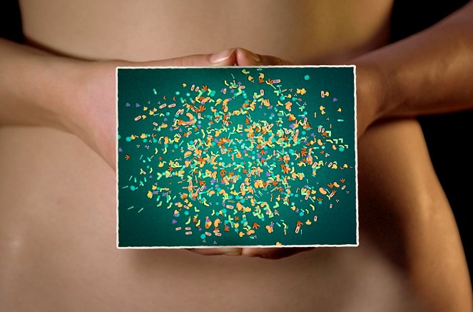 Microbiote, les fabuleux pouvoirs du ventre - Kuvat elokuvasta