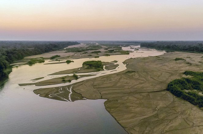 Les Nouveaux Mondes sauvages - Mozambique : Le grand repeuplement de Zinave - Photos