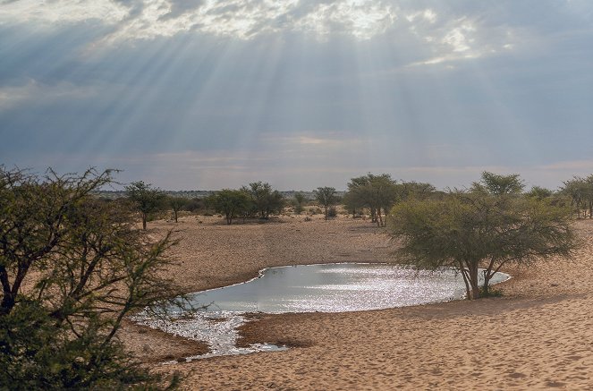 Les Nouveaux Mondes sauvages - Afrique du Sud : Le nouveau départ de Tswalu - Z filmu