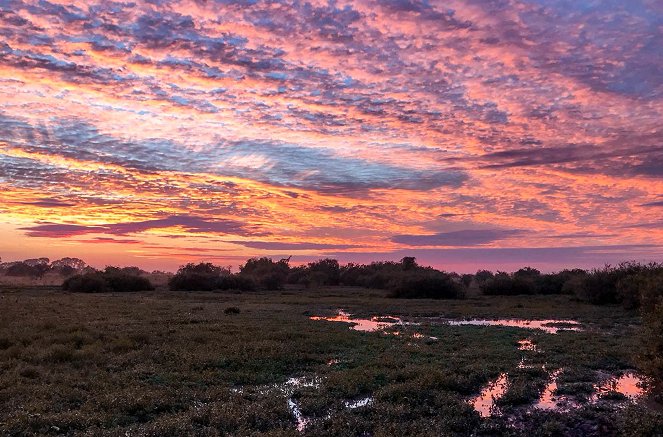 Les Nouveaux Mondes sauvages - Argentine : La renaissance d'Iberá - Photos