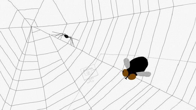 Spider Web - Filmfotók