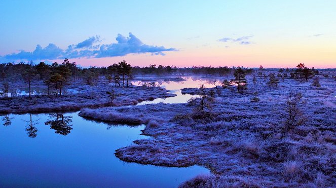 Erlebnis Erde: Die Elche von Matsalu – Estlands wilde Riesen - Filmfotók