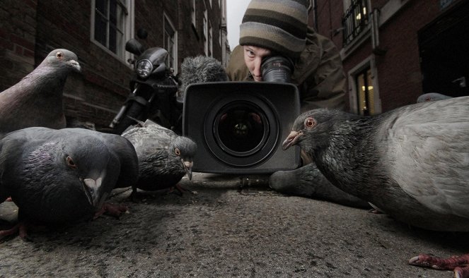 The Natural World - Unnatural History of London - Photos