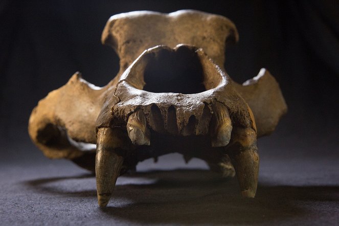 Mystery of the Ice Age Giants - Photos