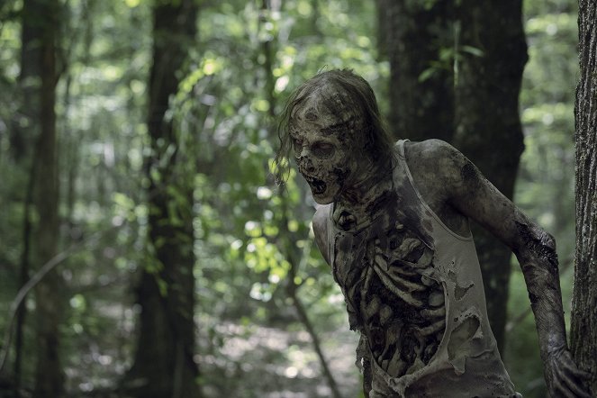 The Walking Dead - Season 10 - Les Limites franchies - Film