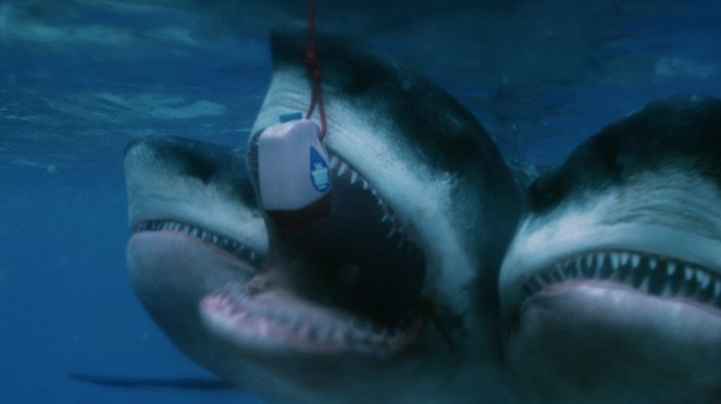 5-Headed Shark Attack - Filmfotos