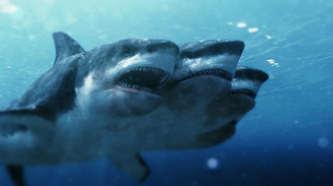 El ataque del tiburón de cinco cabezas - De la película