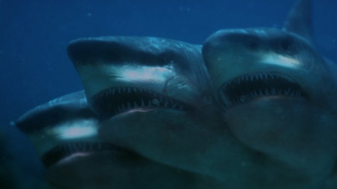 5 Headed Shark Attack - Do filme