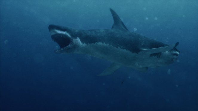 5 Headed Shark Attack - Film