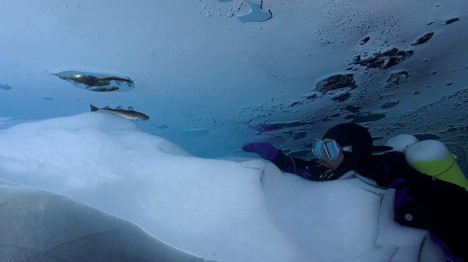 Under the Pole 3 : Immersion polaire - Kuvat elokuvasta
