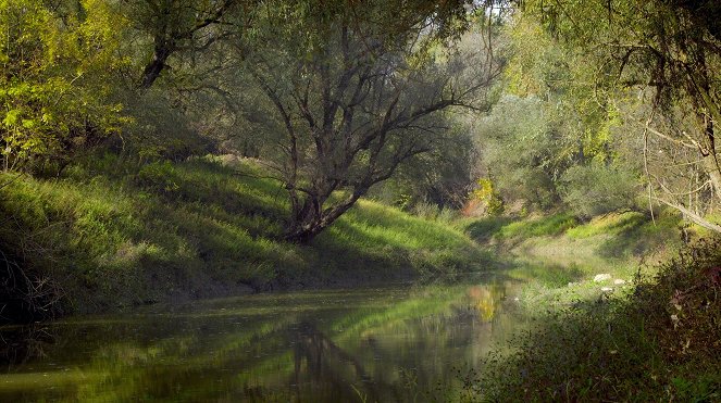 Erlebnis Erde: Kroatiens Auenland - Do filme