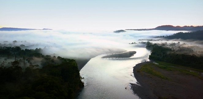 South America: Land of Extremes - La Jungle - Photos