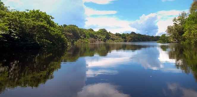 Amérique du sud, sur la route des extrêmes - L'Amazone - De la película