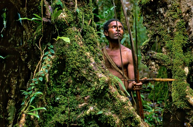 Photographes Voyageurs - Papouasie-Nouvelle-Guinée, les princes du Pacifique - De la película