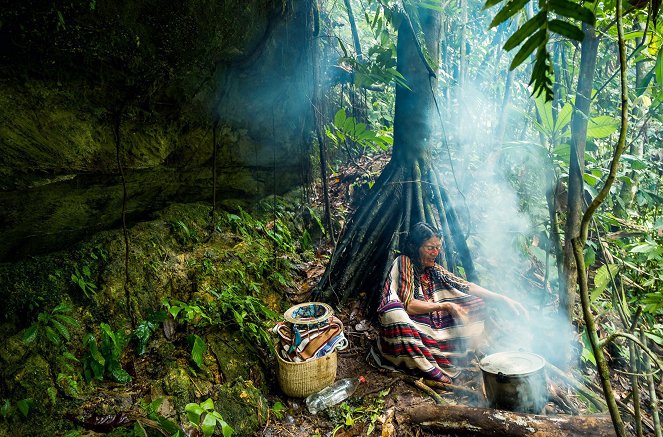 Photographes Voyageurs - Brésil, le canoë de la transmission - Z filmu