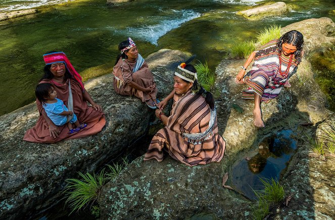 Photographes Voyageurs - Brésil, le canoë de la transmission - Filmfotók