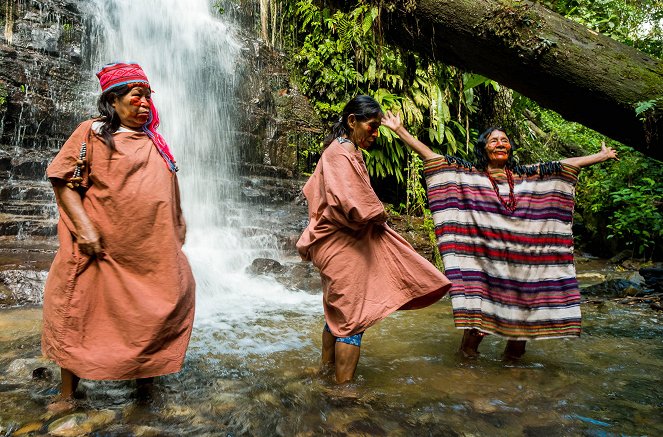 Photographes Voyageurs - Brésil, le canoë de la transmission - Z filmu