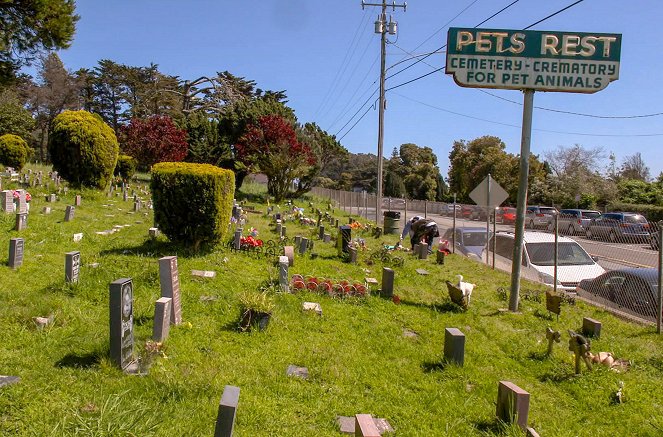 Zum Sterben schön! - Kaliforniens Friedhofsstadt Colma - Z filmu