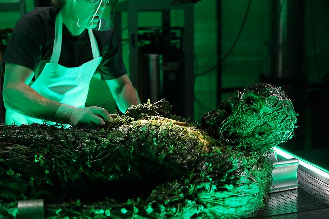 Swamp Thing - The Anatomy Lesson - Photos