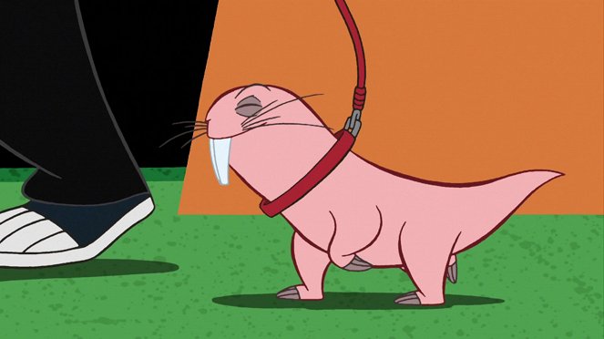 Kim Possible - Rufus in Show - Photos