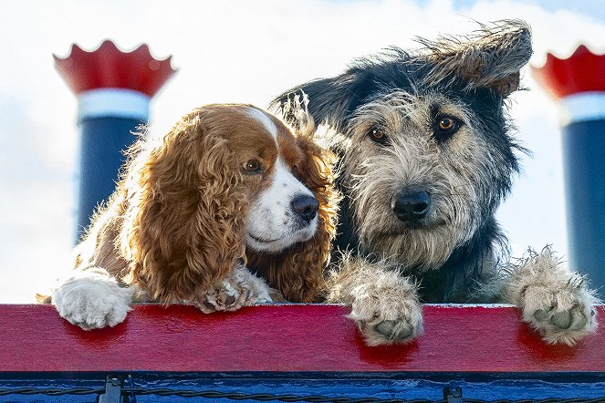 Susi und Strolch - Filmfotos - Hund Rose, Hund Monte