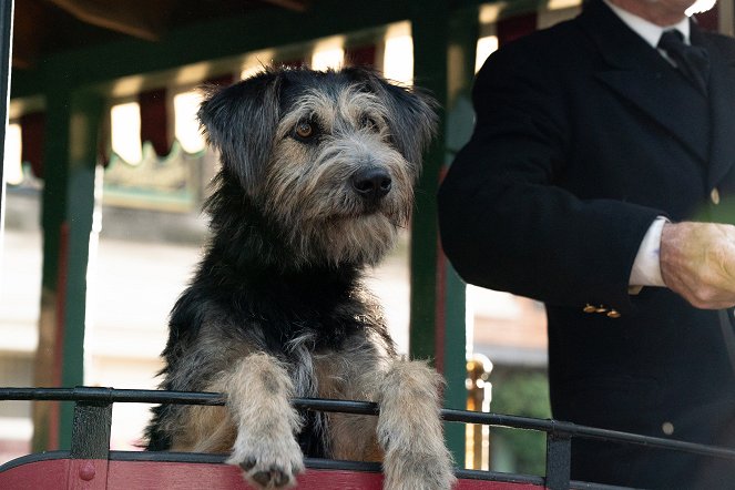 Susi und Strolch - Filmfotos - Hund Monte