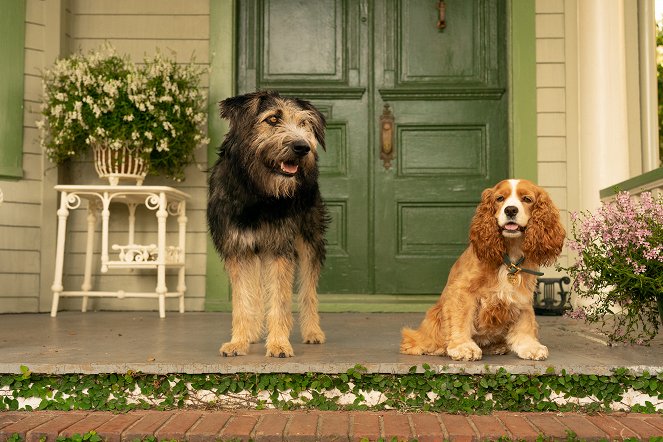 Susi és Tekergő - Filmfotók - Monte a kutya, Rose a kutya