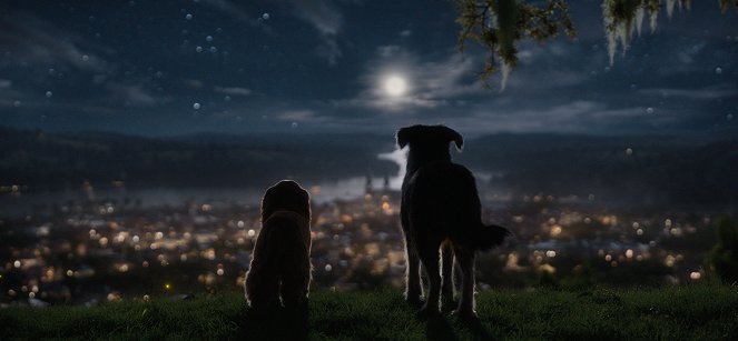 Lady and the Tramp - Film