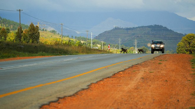 Biltong, Braai und Boerewors - Eine kulinarische Reise nach Kapstadt mit Wini Brugger - Photos