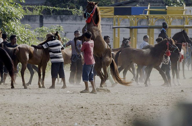 Barfuß ohne Sattel - Die kleinen Reiter von Sumbawa - Z filmu