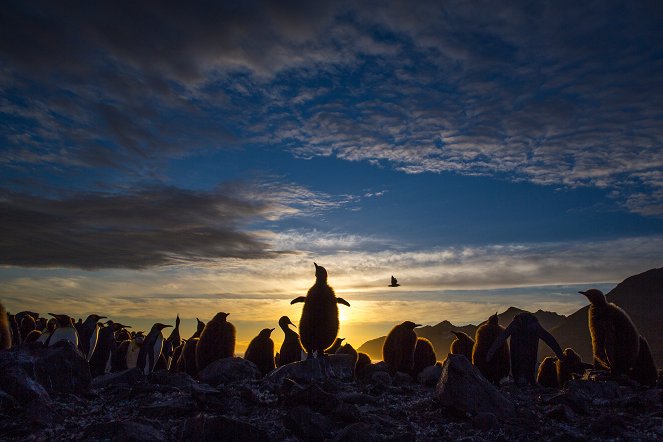 Hét világ, egy bolygó - Antarctica - Filmfotók