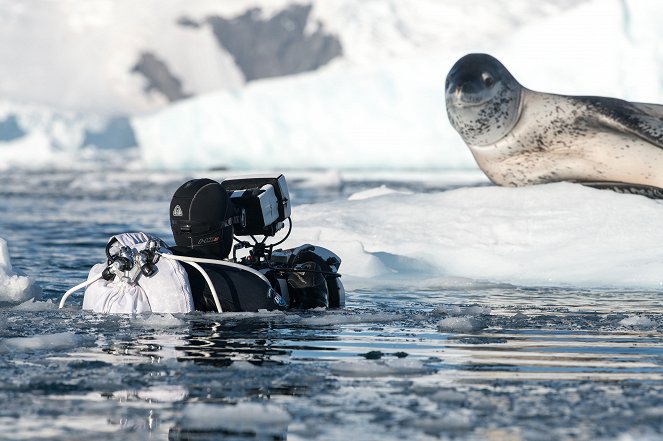 Hét világ, egy bolygó - Antarctica - Forgatási fotók