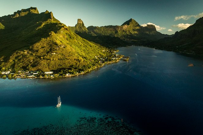 Polynésie : La quête des profondeurs - Van film