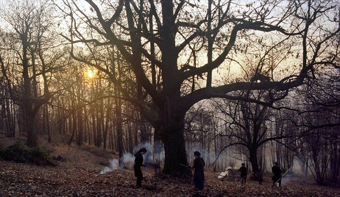 Příběhy z kaštanových lesů - Z filmu