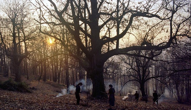 Mesél a gesztenyeerdő - Filmfotók