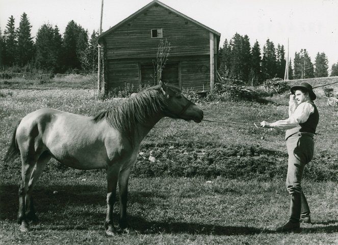 Trollebokungen - Filmfotos - Ivar Kalling