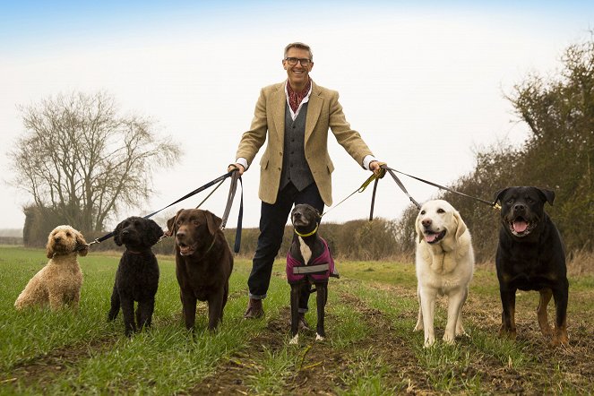 Hunde außer Kontrolle - Ein Coach für alle Felle - Werbefoto