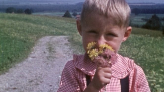 Jahre des Untergangs - Farbfilme aus Bayern 1939-45 - Filmfotos
