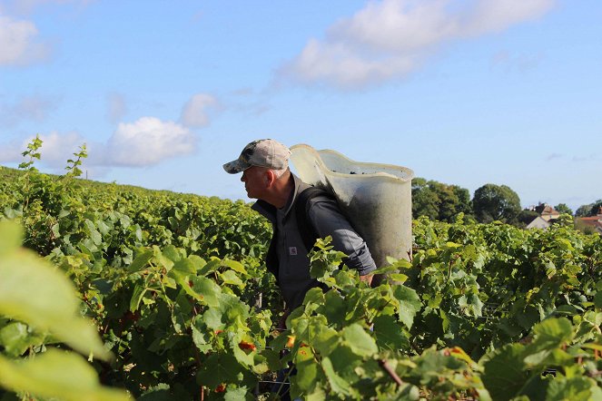 L'Âme du vin - Photos