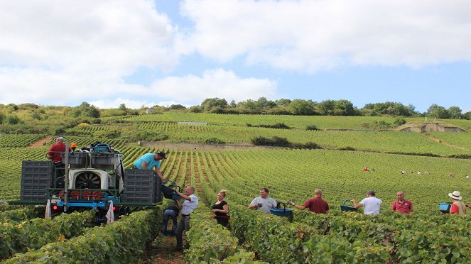 L'Âme du vin - Photos