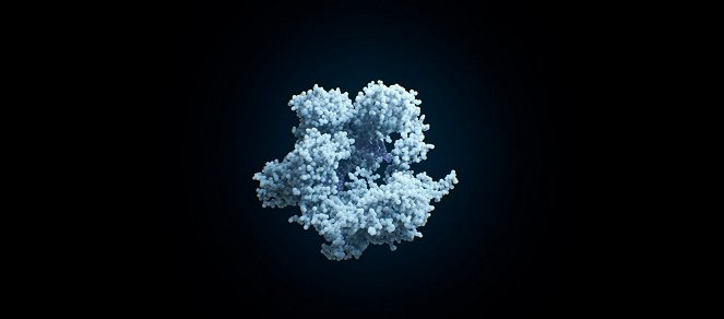 Human Nature: Die CRISPR Revolution - Filmfotos