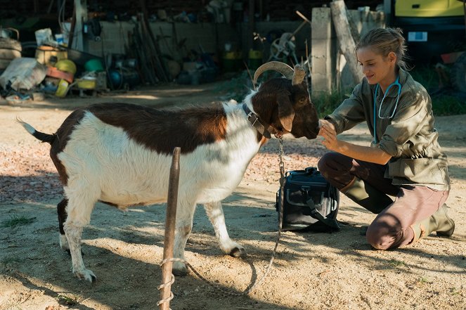 Una veterinaria en la Borgoña - De la película - Noémie Schmidt