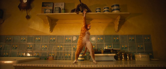 Cats - Photos - Rebel Wilson