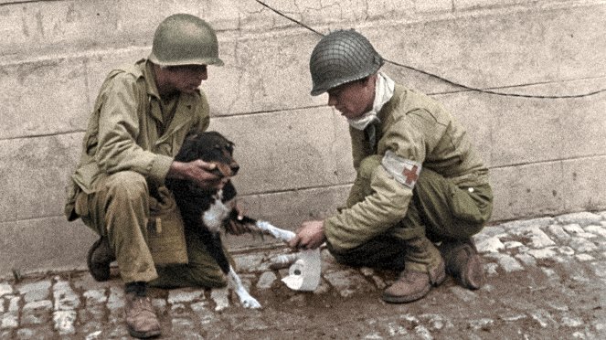 Állatok háborúban - Filmfotók