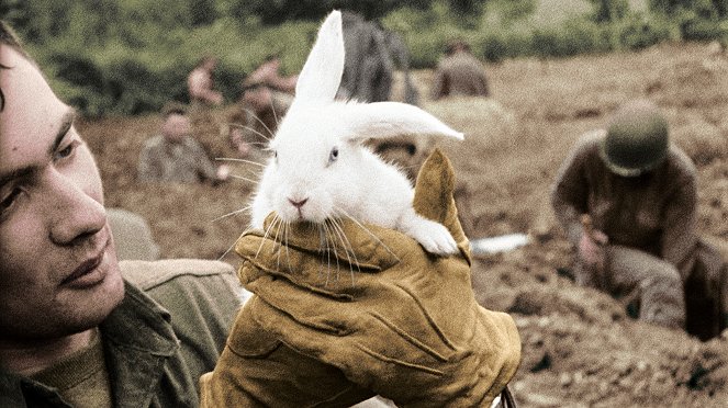 39-45, les animaux dans la guerre - Filmfotos