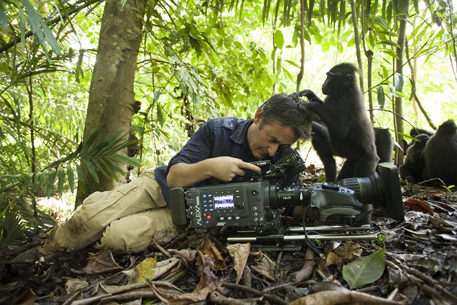 Svět přírody - Příroda: seznámení s opicemi - Z natáčení
