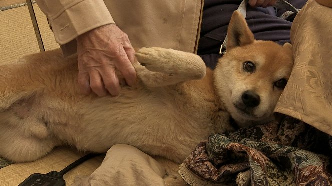 Inu ni namae o cukeru hi - De la película